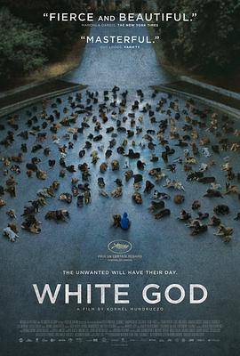 剧情电影《白色上帝》影评 解说素材 观后感