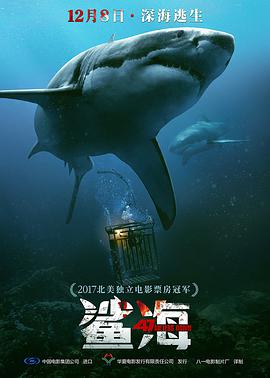 冒险电影《鲨海》解说文案