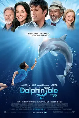 家庭剧情电影《海豚的故事》电影解说文案