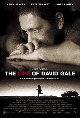 悬疑《大卫·戈尔的一生》电影解说文案