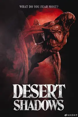 恐怖《沙漠阴影》电影解说文案